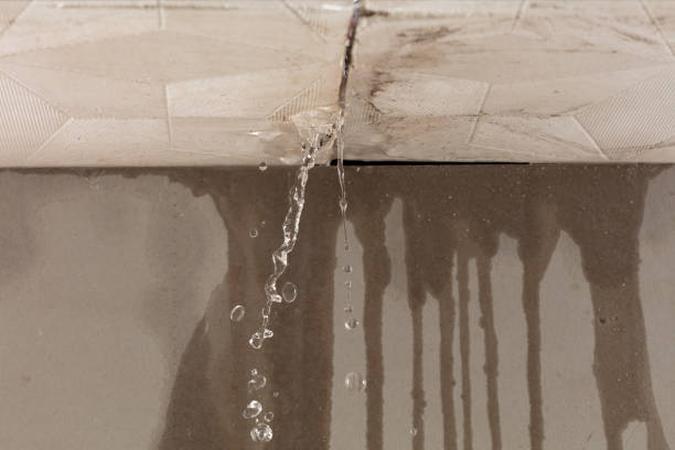 Professional Water Damage Repair technician working in Artesia Wells, TX